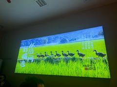 -杨厨的田园饭店(长城路店)