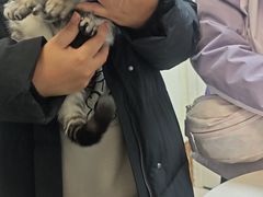 -美联众合24小时·皮肤科·外科·全科诊疗中心(华苑分院)