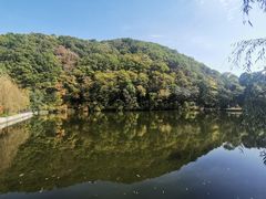 -参仙谷生态旅游度假区