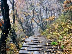 -白草畔自然风景区