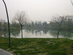 -圩墩遗址公园