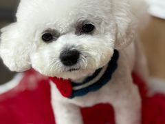 -爱派特动物医院·全科诊疗中心