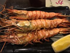 -左舞日本料理