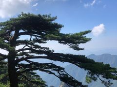 -黄山风景区
