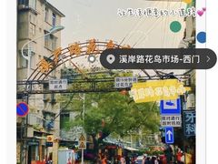 -溪岸路花鸟市场