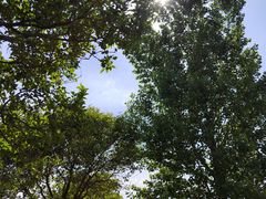 -古柏渡飞黄旅游区