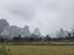 -明仕田园