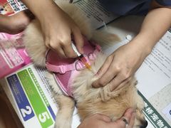 -千城康桥宠物医院CT影像·骨科·心脏专科中心(厚街分院)