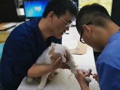 -康成宠物医院24H·CT·核磁共振