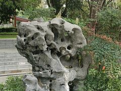 -四海公园(南山区)