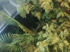 -江小渔鲜鱼火锅(西二道街店)