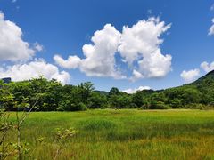 -大九湖