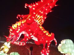 -大塘金香草谷