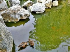 -北京积水潭医院-停车场