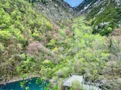 -叠溪松坪沟景区