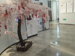 -牙博士口腔品牌连锁(杨浦店)