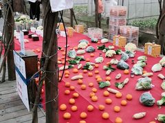 -前小桔亲子创意农场·草莓采摘·露营烧烤