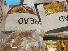 -面包日报