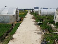 -小鱼草莓采摘园农家乐·小鱼餐厅