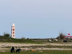 -东郊椰林