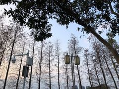 -顺峰山公园