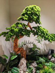 -盘子女人坊生日照·摄影馆(浦东店)