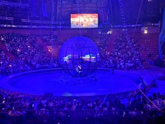 -俄罗斯国家大马戏团