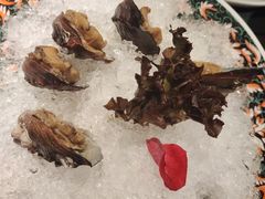 手工冰镇鲍鱼-木棉·醉心粤味(COCO Park店)