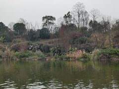 -两江国际影视城