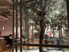 -大树餐厅(大悦城店)