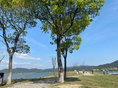 -东钱湖旅游度假区