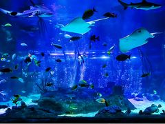 -沈阳海洋探索中心