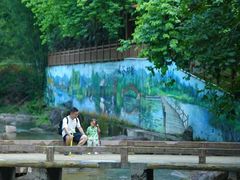 -广州白江湖森林公园