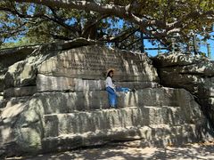 -麦考利夫人座椅