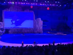 -华夏文旅海洋公园