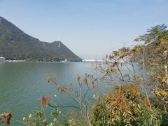 -严子陵钓台(富春江小三峡)