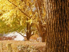 -苏州河梦清园环保主题公园