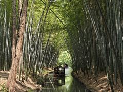 -同里国家湿地公园