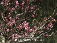 -颐和园
