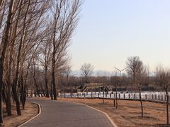 -野鸭湖国家湿地公园