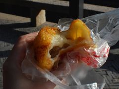 -黎里古镇