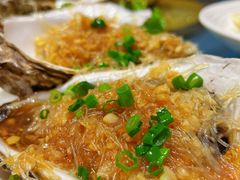 蒜蓉粉丝蒸生蚝-乔家小院•非遗驴肉•青岛菜(滨河路店)