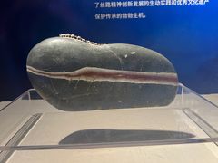 -温州博物馆