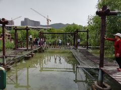 -长兴太湖图影湿地文化园