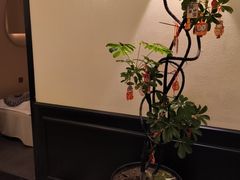 -涟LIAN·泰式按摩·MASSAGE·SPA(深业上城店)