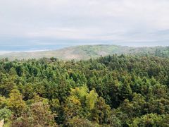 -大罗山风景区
