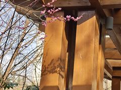 -木塔寺遗址生态公园