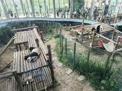 -大连森林动物园