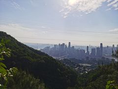 -南山植物园