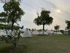 -上海长兴岛郊野公园